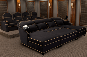 Media Room