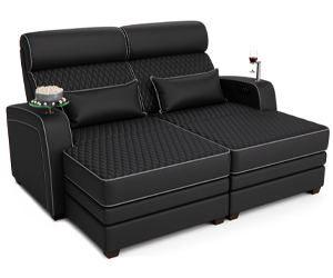 Home Theater Room Media Dual Chaise Lounger