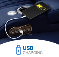 USB Charging Port in Each Arm